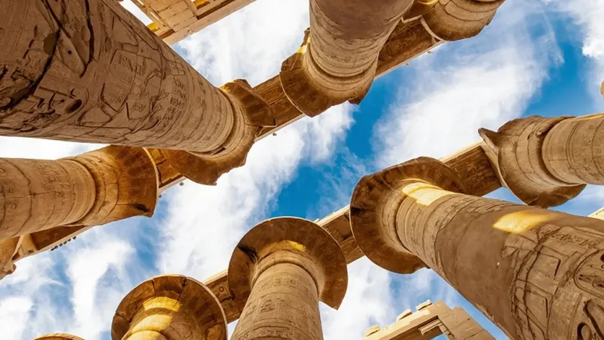 What a DMC Actually Does — and Why It Protects Your Margin